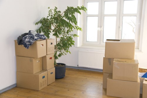 The image shows a bright room in a house in Brompton with a collection of packed cardboard boxes stacked on the wooden floor, some with visible labels and packing tape. On the left side, there is a large potted plant with broad green leaves positioned next to a small pile of clothing or fabric items placed atop one of the boxes. The background features a white wall with a set of three tall, white-framed windows allowing natural daylight into the space, and underneath the windows, a white radiator is visible. The room appears to be prepared for a house removal, with clear evidence of packing and organization. The scene captures the quiet interior atmosphere of a residential property in Brompton before an upcoming move, aligning with professional removals services offered by Watson Removals London. The overall setting emphasizes the orderly nature of house packing in readiness for transportation, with the focus on household items and the home environment's natural lighting, conveying a professional yet neutral tone suitable for a removals service website.