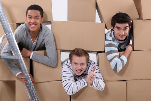 Three young men are in a residential interior surrounded by stacked brown cardboard moving boxes, some placed on top of others. The man on the left, with short dark hair and wearing a grey long-sleeved top, is smiling and leaning on a silver ladder positioned beside him. The man in the middle, with light brown hair, wearing a white and navy striped shirt, is smiling broadly, giving a thumbs-up gesture, and is partially visible through gaps in the boxes. The man on the right, with curly dark hair, wearing a black and white striped sweater, is also smiling and leaning into the boxes from the right side. The background features a light-colored wall, indicating a typical home setting in the St Pauls Cray area. The scene suggests a house move, with the individuals actively engaged in packing or unpacking during a residential relocation process, consistent with house removals service activities by Watson Removals London.