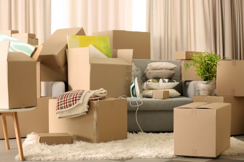 The image depicts a living room filled with numerous cardboard moving boxes of various sizes, some open revealing contents such as books, framed artwork, and household items. A grey upholstered sofa is partially visible behind the boxes, with a folded tartan blanket draped over one armrest. A small potted green houseplant sits atop one of the boxes on the right side, adding a touch of foliage to the scene. Several boxes are stacked on a light-colored shaggy rug on the floor, which covers a hardwood surface. In the background, beige curtains hang from a window, filtering soft natural light into the room. The scene appears to be in the midst of a house move, with household belongings temporarily stored and prepared for transport, consistent with professional removals services such as Watson Removals London servicing the London area postcodes. The composition emphasizes the clutter and activity associated with moving, with a focus on packed items and household furnishings in a typical residential interior space.